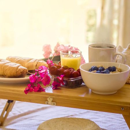 Olive Farm Villa Agia Marina Екстериор снимка