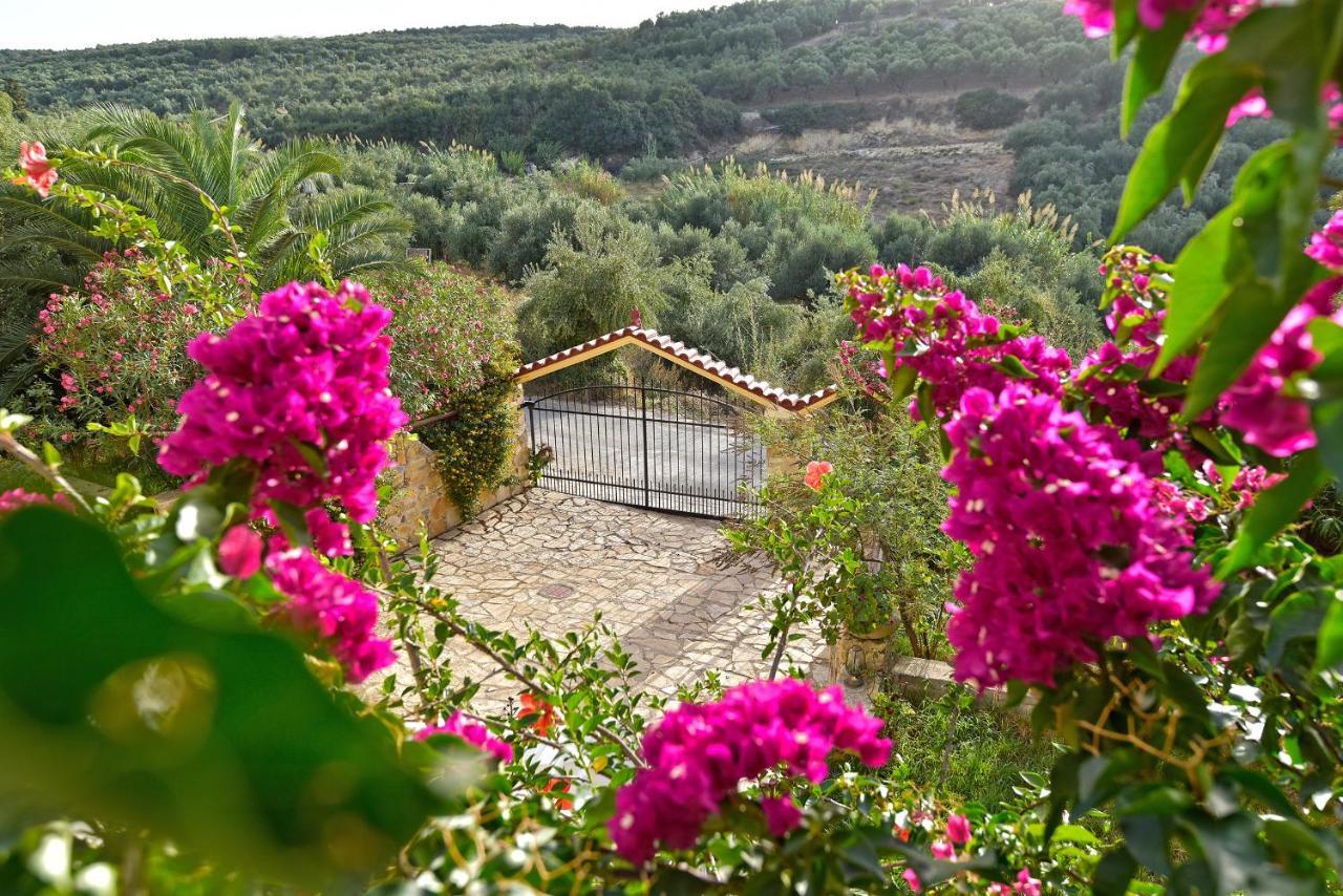 Olive Farm Villa Agia Marina Екстериор снимка