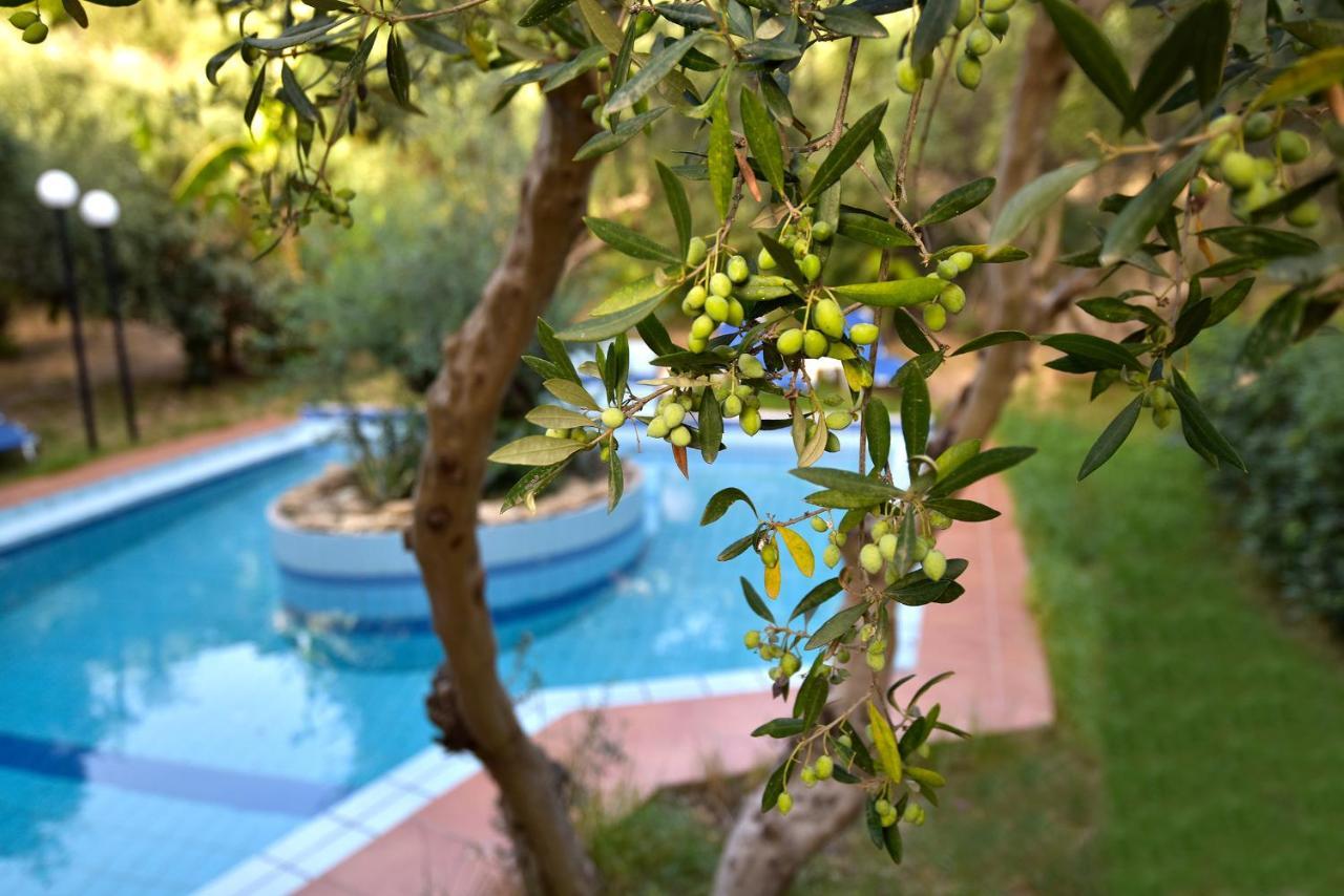 Olive Farm Villa Agia Marina Екстериор снимка