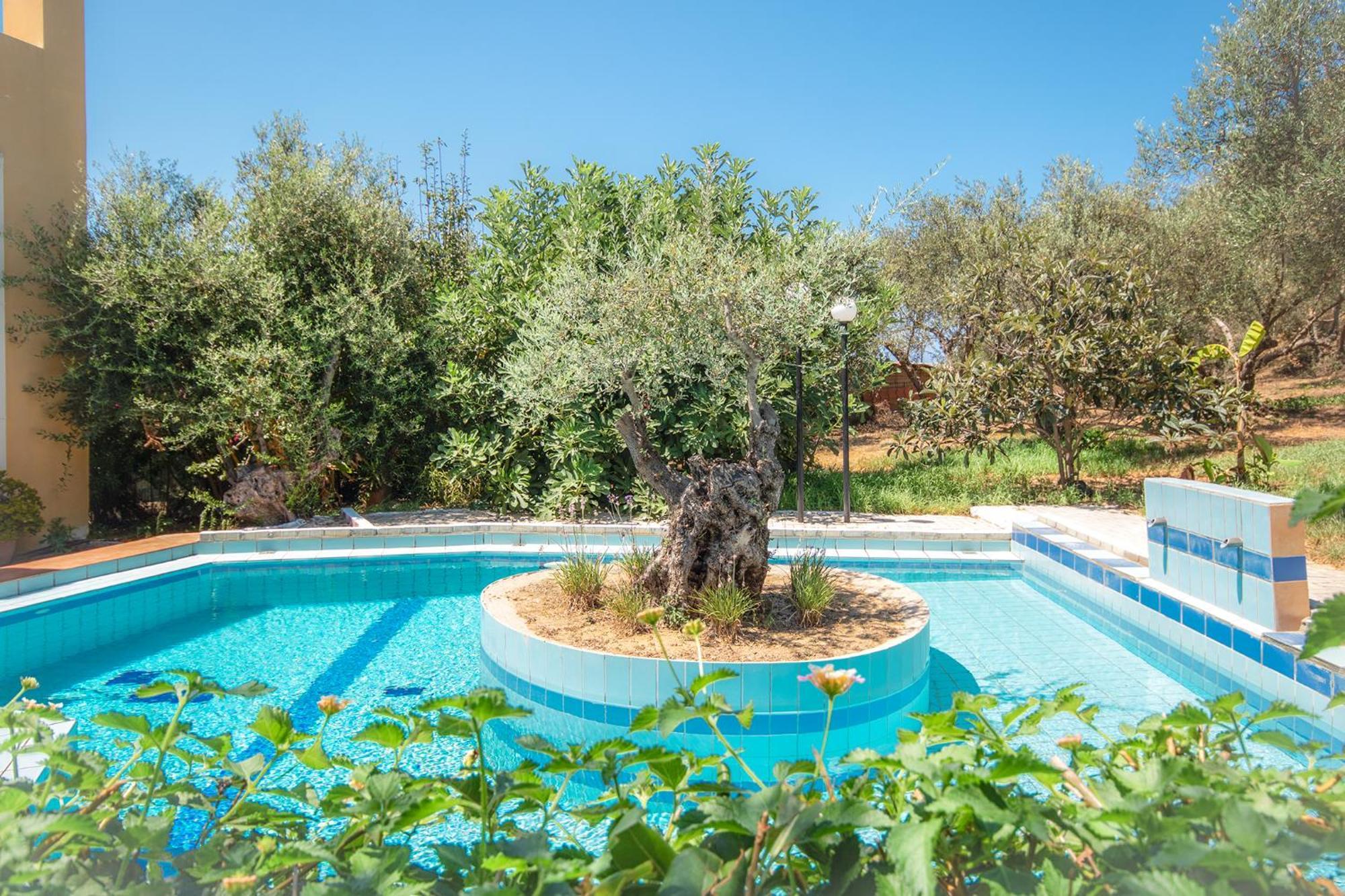 Olive Farm Villa Agia Marina Екстериор снимка