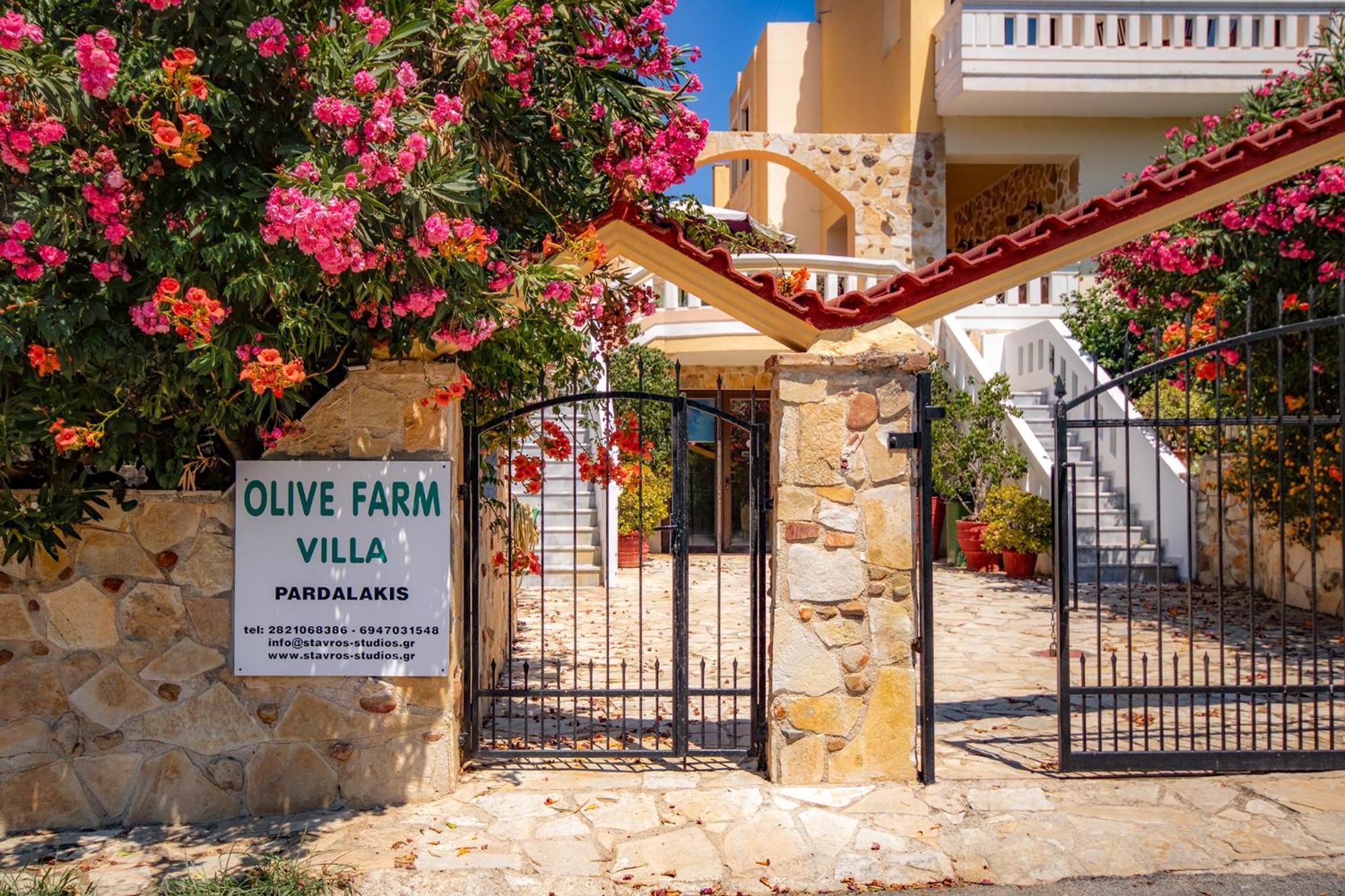 Olive Farm Villa Agia Marina Екстериор снимка